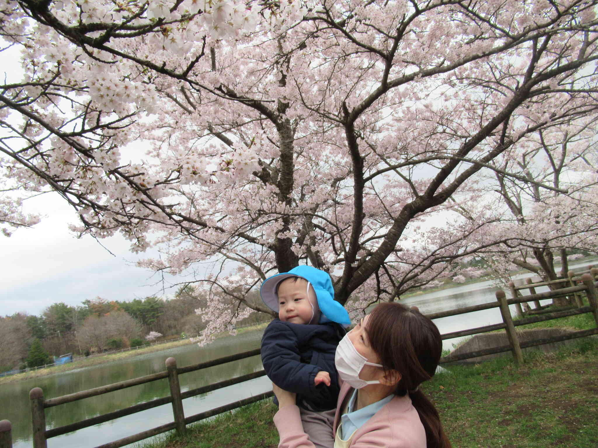 散歩楽しいね～あひる組（1歳児）｜ニチイキッズ天王みなみ保育園
